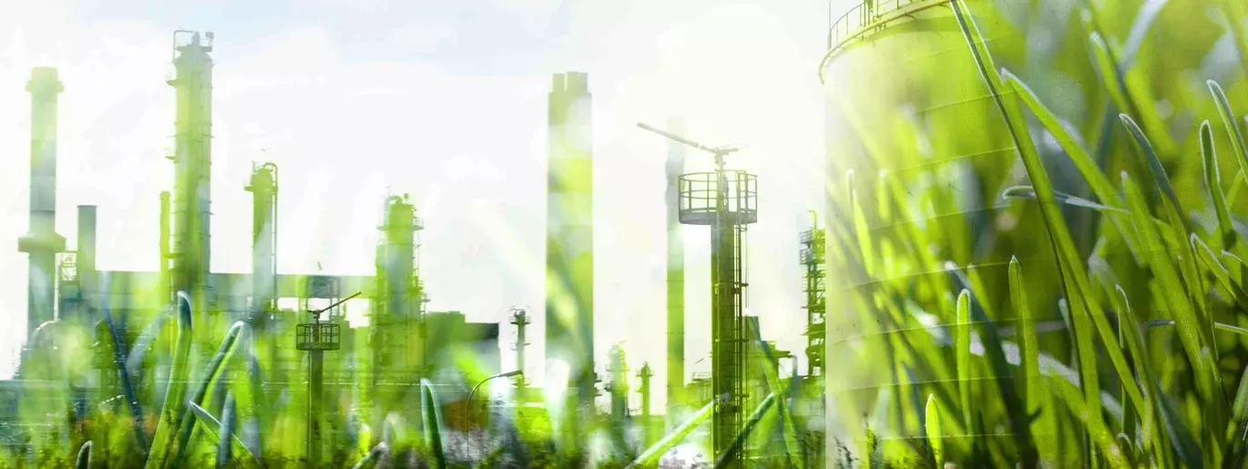 Sustainable industry