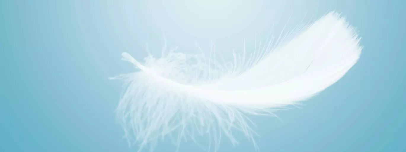 Feather