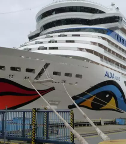 Aida Luna insulation